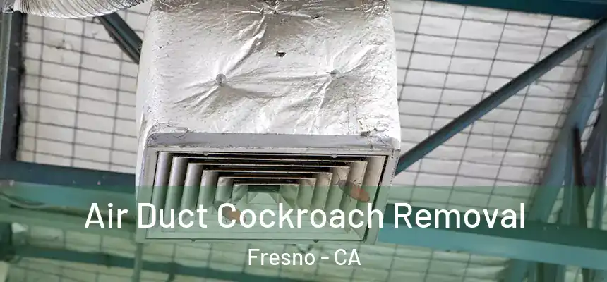 Air Duct Cockroach Removal Fresno - CA