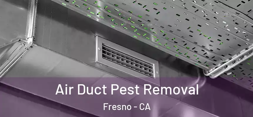  Air Duct Pest Removal Fresno - CA