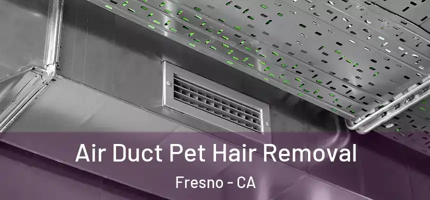 Air Duct Pet Hair Removal Fresno - CA