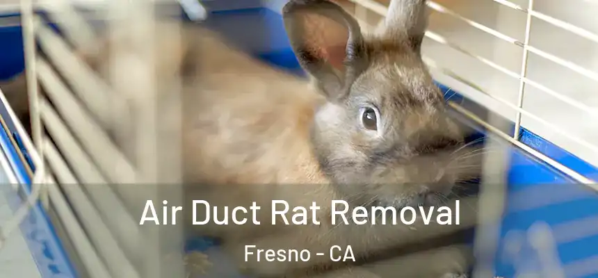  Air Duct Rat Removal Fresno - CA