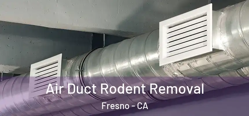  Air Duct Rodent Removal Fresno - CA