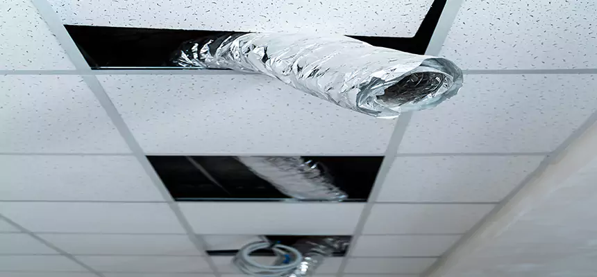 Our Air Duct Pet Hair Removal Services in Fresno, CA