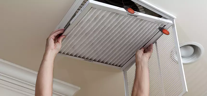 Our Insect Removal from Air Ducts Services in Fresno, CA