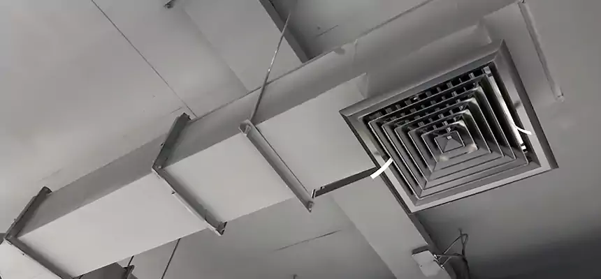 Our Rodent Droppings In Vents Services in Fresno, CA