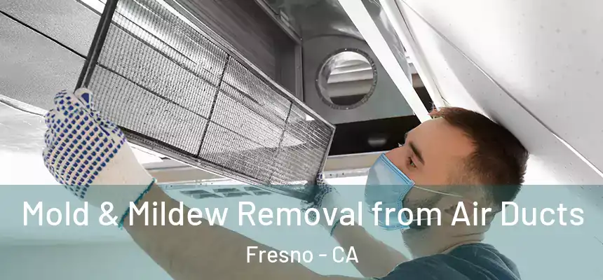  Mold & Mildew Removal from Air Ducts Fresno - CA