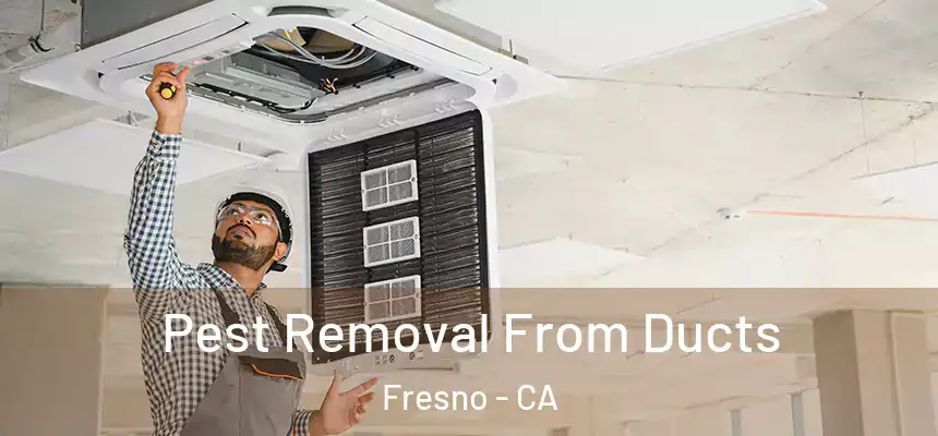 Pest Removal From Ducts Fresno - CA