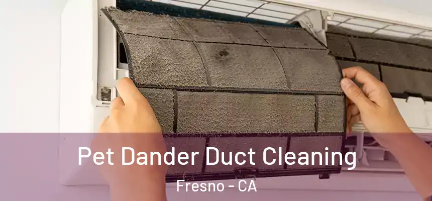 Pet Dander Duct Cleaning Fresno - CA
