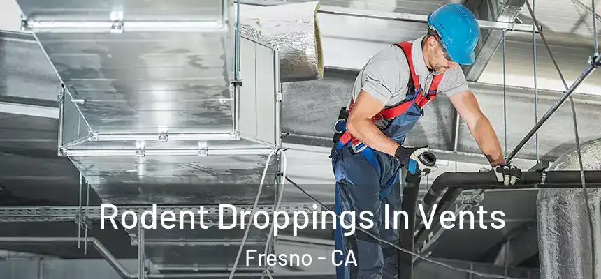 Rodent Droppings In Vents Fresno - CA