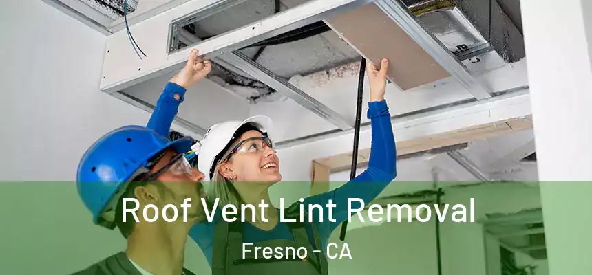  Roof Vent Lint Removal Fresno - CA