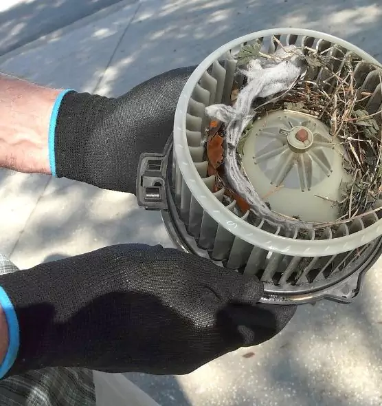 About Air Duct Rat Removal in Fresno, CA