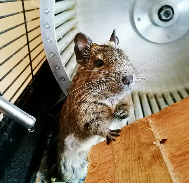 Why Homeowners & Businesses Trust Us Fresno, CA