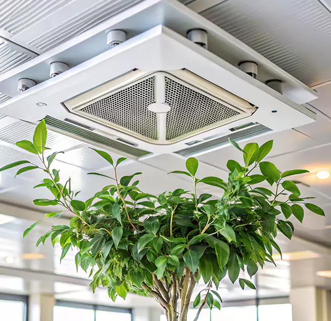 Why Homeowners & Businesses Trust Us in Fresno, CA?