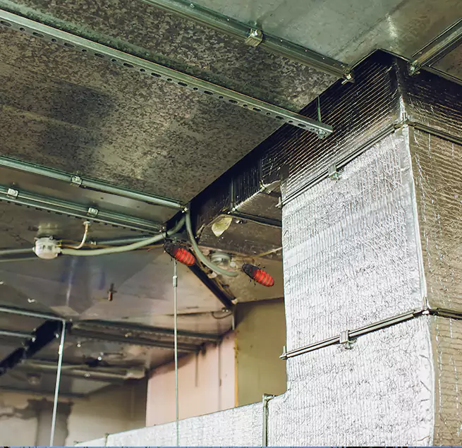 Why Homeowners & Businesses Trust Us Fresno, CA?